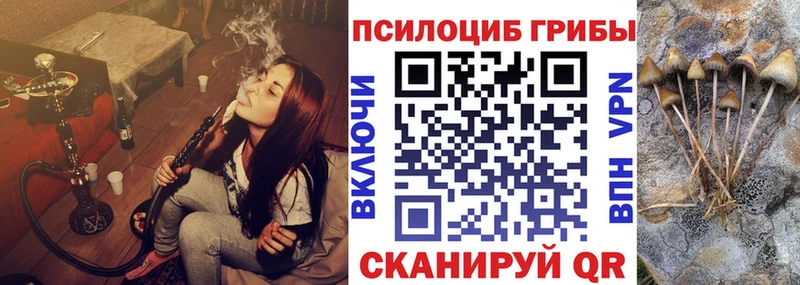 Галлюциногенные грибы Magic Shrooms  OMG онион  Грязи  купить закладку 