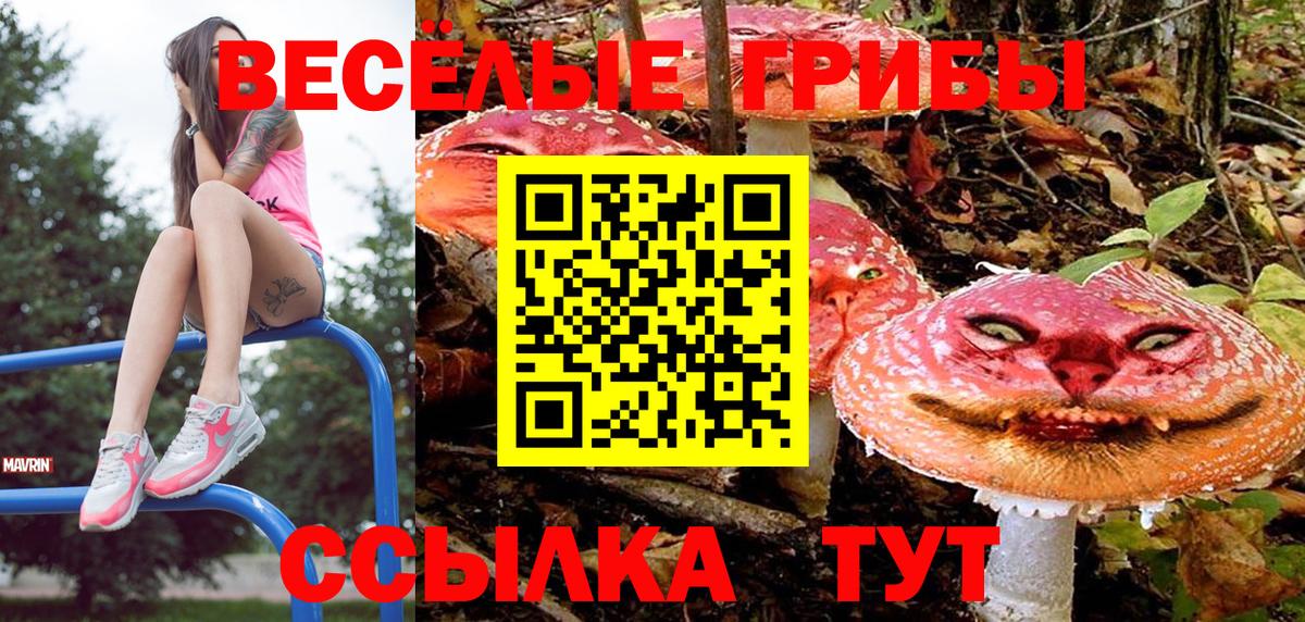 Галлюциногенные грибы Cubensis  где купить наркоту  Грязи  Вход с VPN 