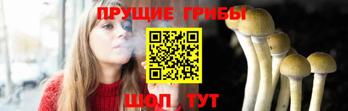 Псилоцибиновые грибы ЛСД Грязи